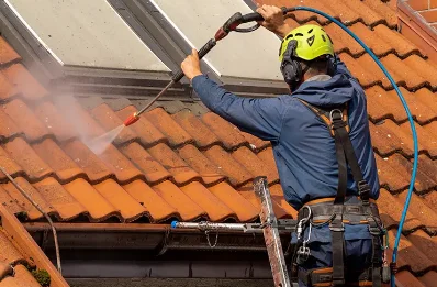 Démoussage et hydrofuge de toiture à Espinasse